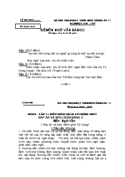 Kì thi chọn học sinh giỏi tỉnh lớp 12 năm học 2008 - 2009 - Đề môn ngữ Văn bảng C