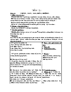 Giáo án Ngữ văn 6 - Tuần 12 - Tiết 45 : Chân , tay, tai, mắt, miệng
