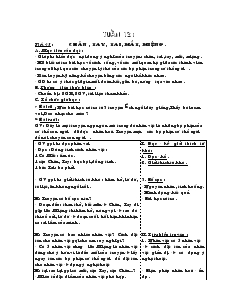 Giáo án Ngữ văn 6 - Tuần 12 - Tiết 45: Chân, tay, tai, mắt, miệng