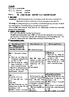 Giáo án hình học 6 - Thực hành: Trồng cây thẳng hàng