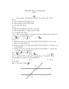 Đề kiểm tra 45 phút - Hình học lớp 7