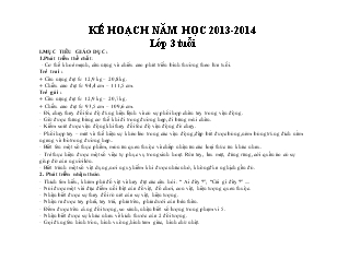 Kế hoạch năm học 2013 - 2014 lớp 3 tuổi