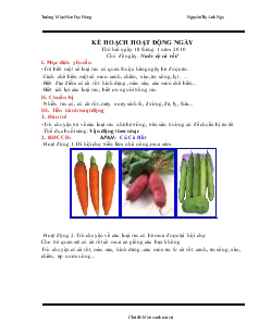Giáo án mầm non lớp 4 tuổi - Chủ đề ngày: Nước ép cà rốt