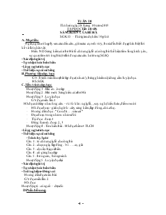 Giáo án dạy học khối 2 tuần 10