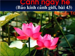 Bài giảng Cảnh ngày hè (Bảo kính cảnh giới, bài 43)