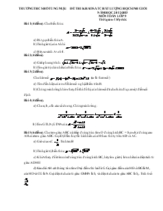Đề thi khảo sát chất lượng học sinh giỏi năm học 2012-2013 môn Toán lớp 9 trường THCS Hồ Tùng Mậu