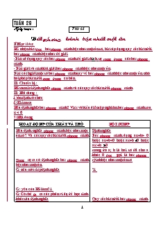 Giáo án Đại số 8 Tuần 29 Tiết 61 Bất phương trình bậc nhất một ẩn