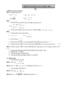 Chuyên đề Bộ đề ôn thi học kỳ II môn Toán 11 (năm học 2008 - 2009)