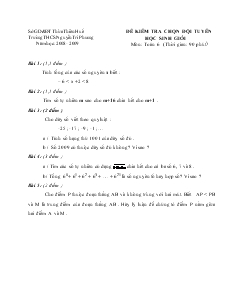 Đề kiểm tra chọn đội tuyển học sinh giỏi trường THCS Nguyễn Tri Phương năm học: 2008 - 2009
