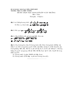 Đề thi chọn học sinh giỏi lớp 9 cấp trường môn: Toán