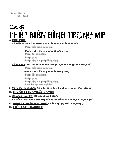 Giáo án Tự chọn mô Toán 11 - Chủ đề: Phép biến hình trong mặt phẳng