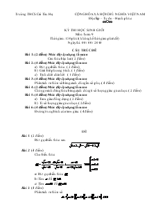 Kỳ thi học sinh giỏi môn Toán 9 Trường THCS Cái Tàu Hạ