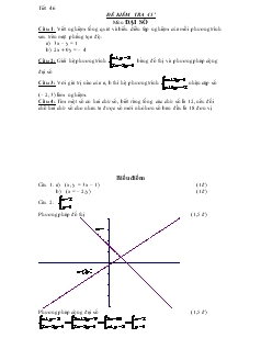Tiết 46 Đề kiểm tra 45’ môn Đại số