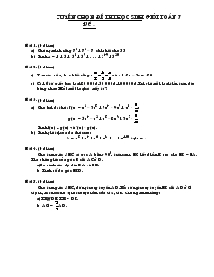 Tuyển chọn đề thi học sinh giỏi Toán 7