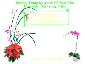 Hình học 6 - Bài 9: Tam giác