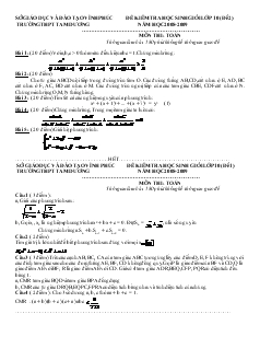 Đề kiểm tra học sinh giỏi lớp 10 trường THPT Tam Dương năm học 2008- 2009