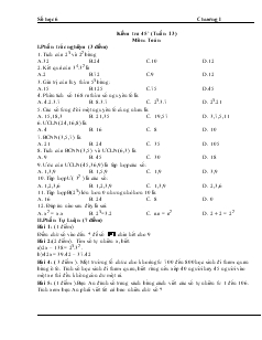 Kiểm tra 45 phút (tuần 13) môn: Toán 6