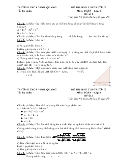 Đề thi học sinh giỏi cấp trường THCS Vinh Quang môn toán - Lớp 9