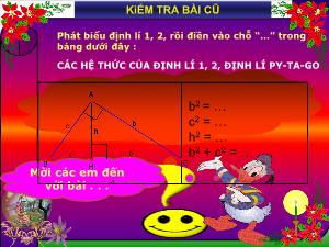 Giáo án Hình học lớp 9 - Tuần 3 - Tiết 3 - Bài luyện tập các hệ thức về cạnh và đường cao trong tam