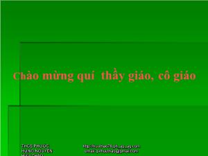 Giáo án Hình học lớp 9 - Tuần 9 - Tiết 17 - Bài ôn tập chương I hệ thức lượng trong tam giác vuông