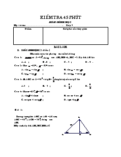 Kiểm tra 45 phút môn: Hình học 9