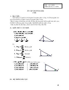 Ôn tập chương I (Hình học 9) (2 tiết)