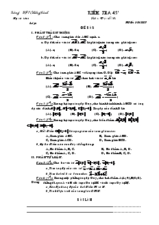 Giáo án Hình học 10 - Kiểm tra 45 môn: Đại số 10