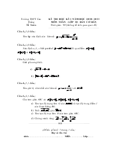 Kỳ thi học kỳ I năm học 2010 - 2011 môn toán - lớp 10