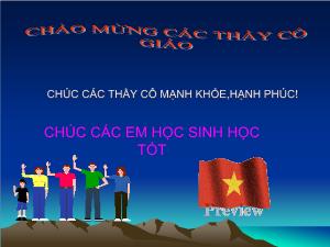 Giáo án lớp 12 môn Hình học - Bài 2: Mặt cầu (tiết 3)