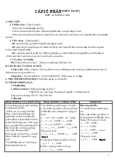 Giáo án môn Đại số lớp 11 - Cấp số nhân (tiết 54, 55)