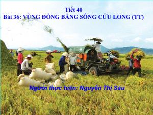 Bài giảng môn học Địa lý lớp 9 - Tiết 40 - Bài 36: Vùng đồng bằng sông Cửu Long (Tiết 1)