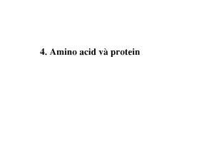 Bài giảng môn Sinh học - Amino acid và protein