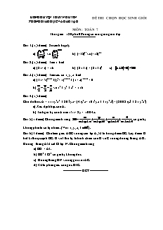 Đề thi chọn học sinh giỏi môn: Toán 7 - Đề 1