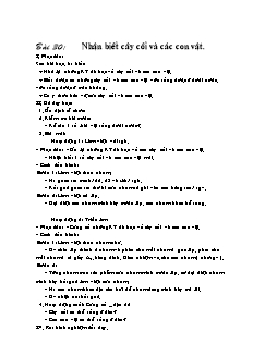 Giáo án Tự nhiên xã hội lớp 2 bài 30: Nhận biết cây cối và các con vật