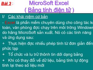 Bài giảng môn học Tin học lớp 11 - Bài 3 : MicroSoft Excel ( Bảng tính điện tử )