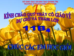 Bài giảng môn Toán khối 11 - Tiết 66: Quy tắc tính đạo hàm