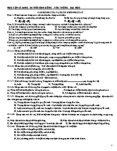 Giáo án Vật lý 10 - Cân bằng của vật rắn không quay